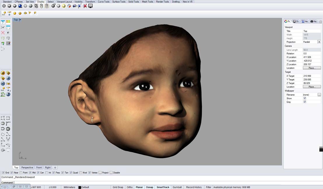 sliced light color  10